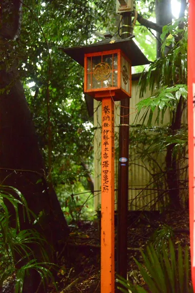 DSC_3208 (Large).JPG